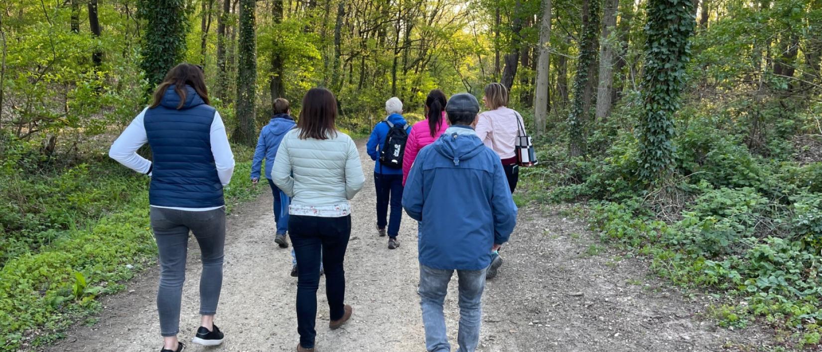 Stiltewandeling, in het Nationaal Park Hoge Kempen, As