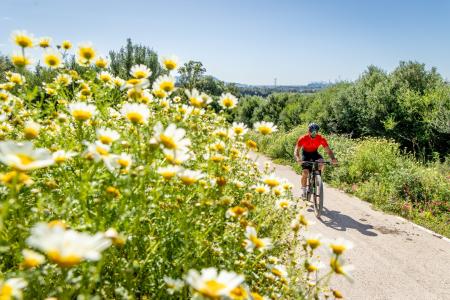 fietsen andalusie