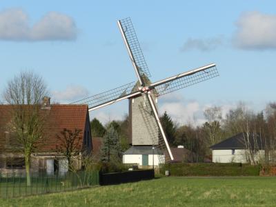 Koutermolen