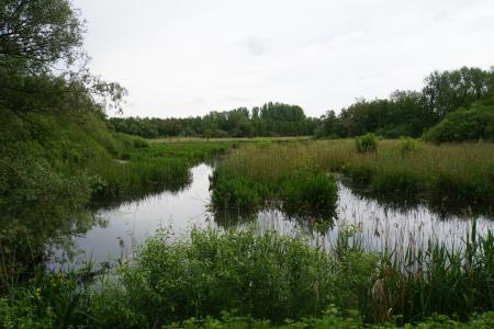 Molsbroek