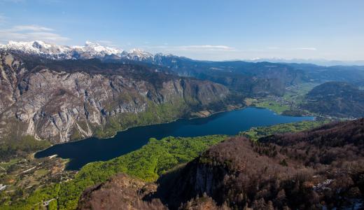 Meer van Bohinj