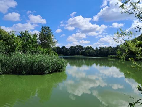 Belevingswandeling Kleit - Maldegem 