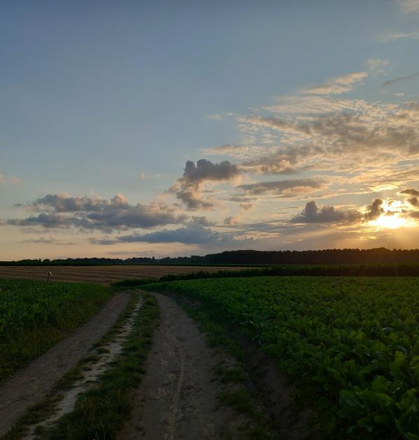 Tijdens onze wandeling genieten we van een mooie zonsondergang.