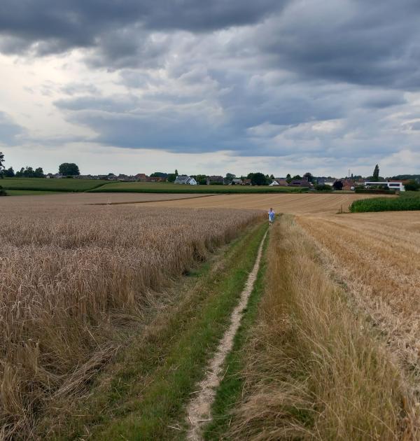 Bij zonsondergang maken we een wandeling.